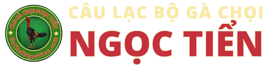 CLB Gà Chọi Ngọc Tiển